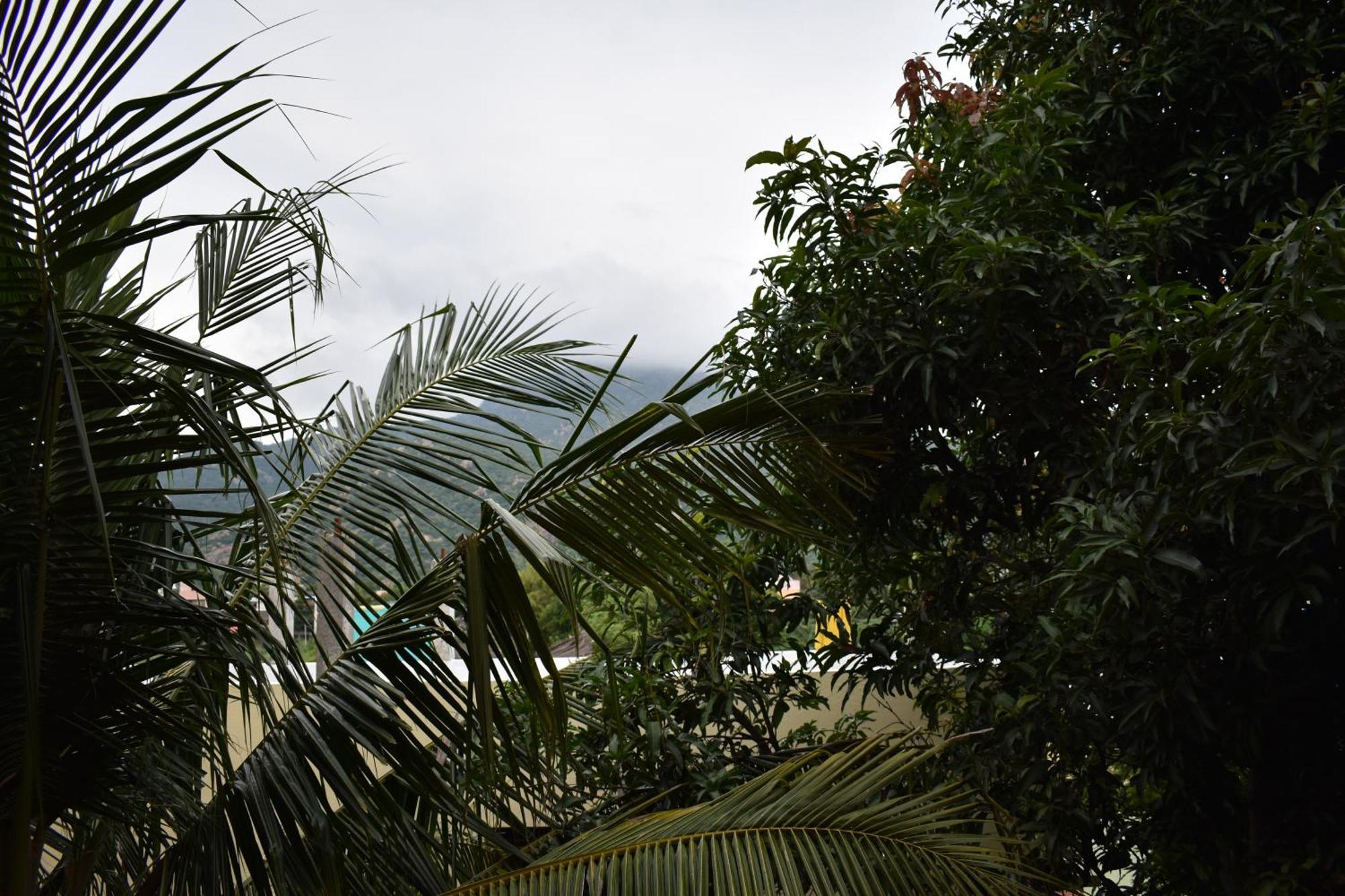 Rainbow Guest House Tiruvannāmalai 外观 照片