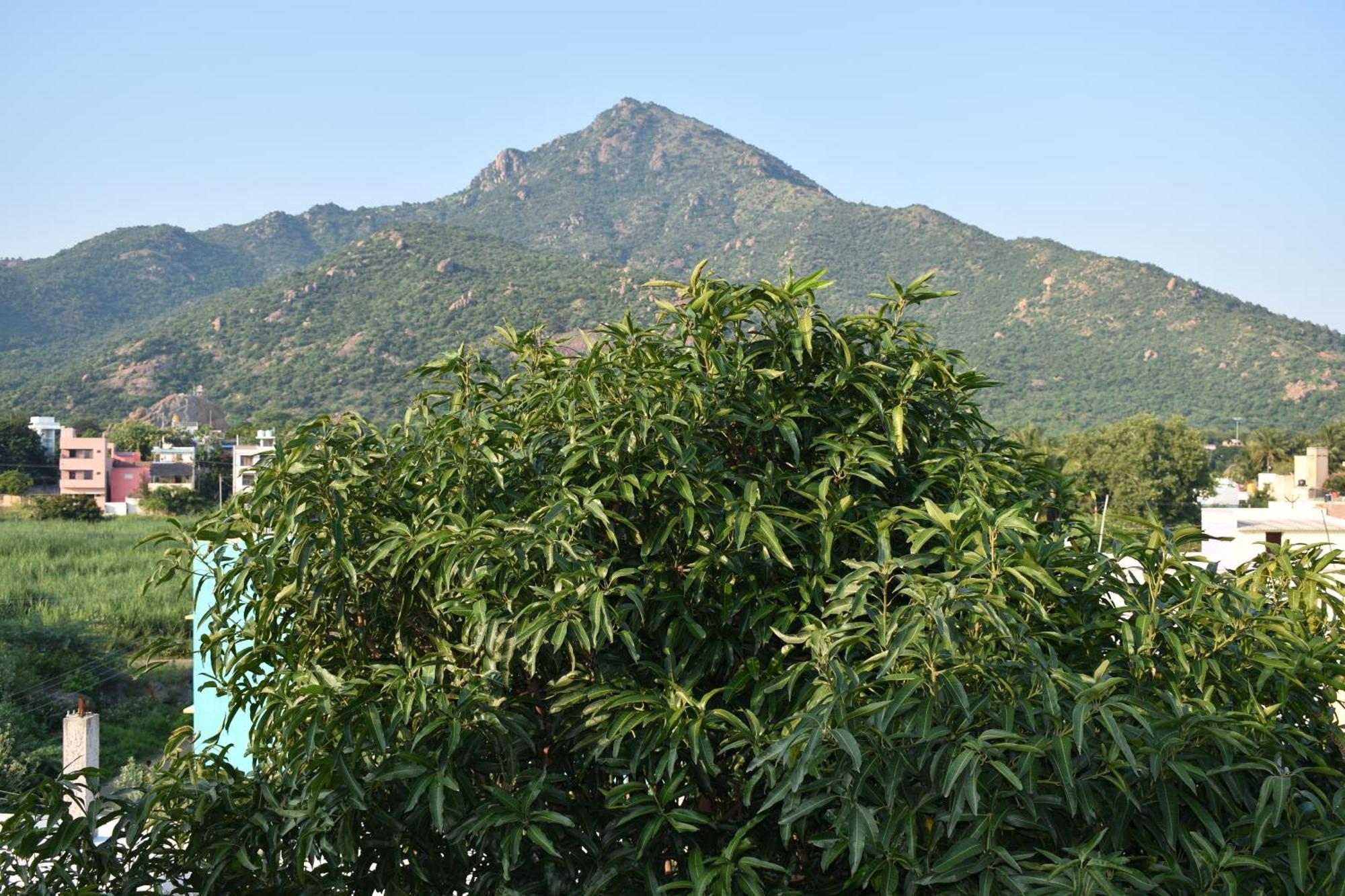 Rainbow Guest House Tiruvannāmalai 外观 照片